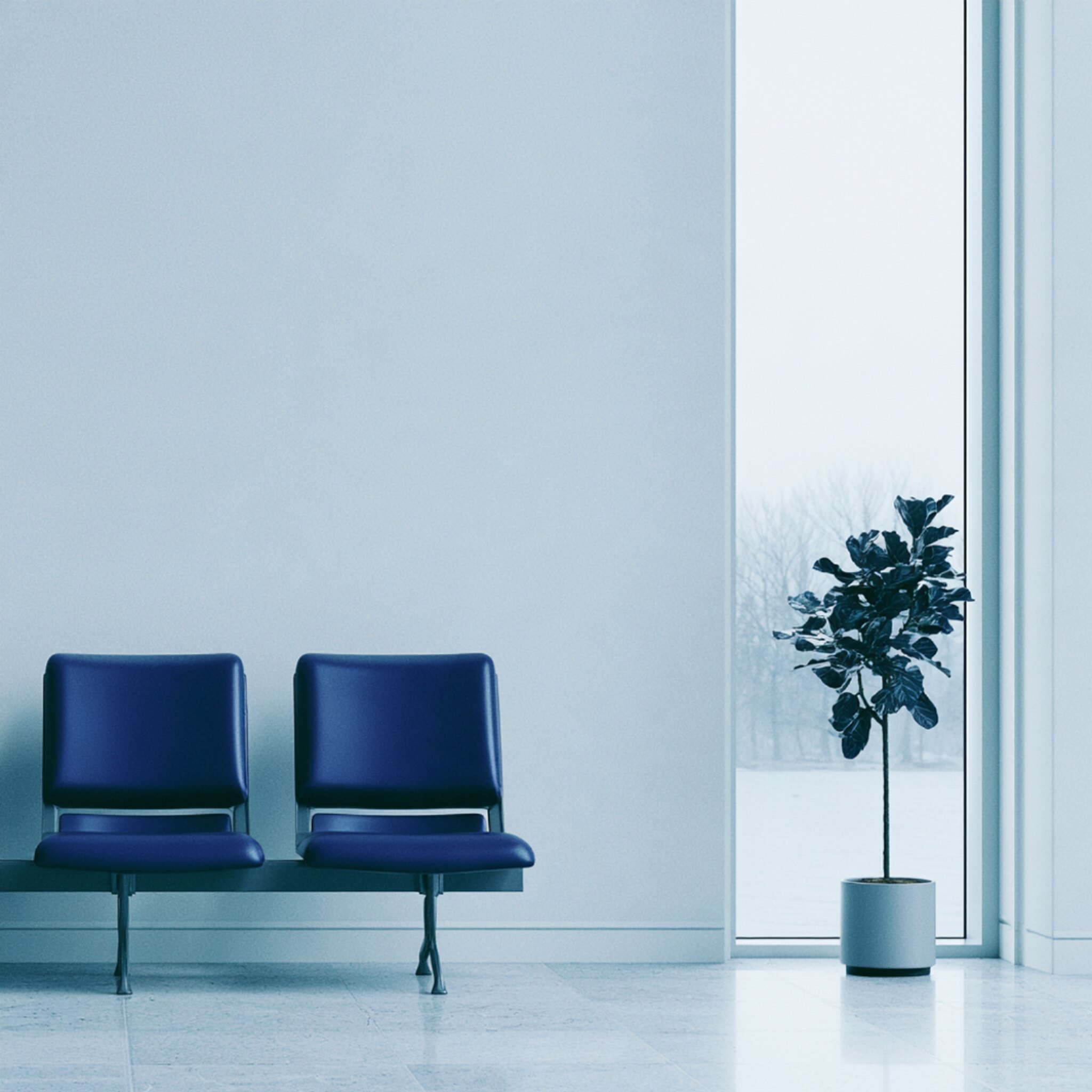 An empty waiting room, two chairs and a plant beside a tall window